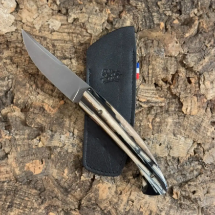 1515 Pulpe de Mammouth