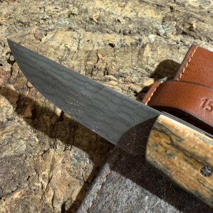 1515 Plein Manche Mammouth