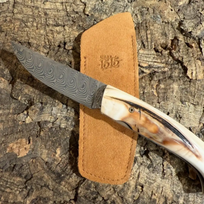 1515 Ivoire de phacochère