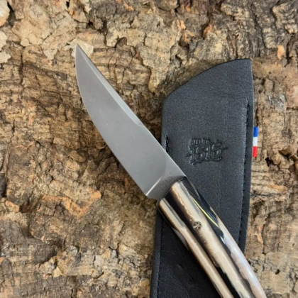 1515 Pulpe de Mammouth