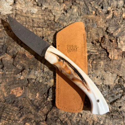 1515 Ivoire de phacochère