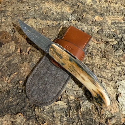 1515 Plein Manche Mammouth