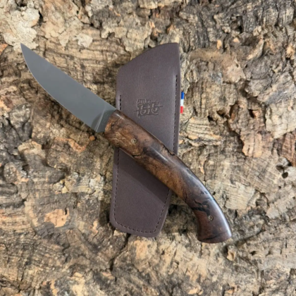 1515 Cep de vigne de 100 ans