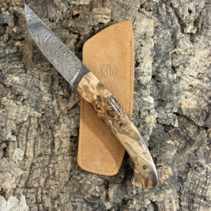 1515 Hêtre échauffé