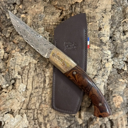 1515 Bois de fer d’Arizona