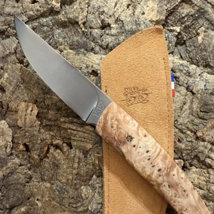 1515 Érable Negundo