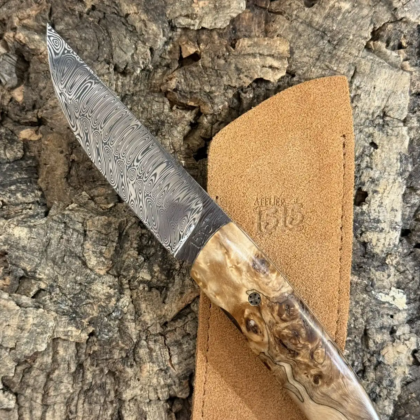 1515 Hêtre échauffé