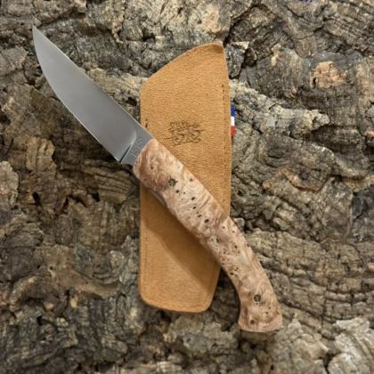 1515 Érable Negundo