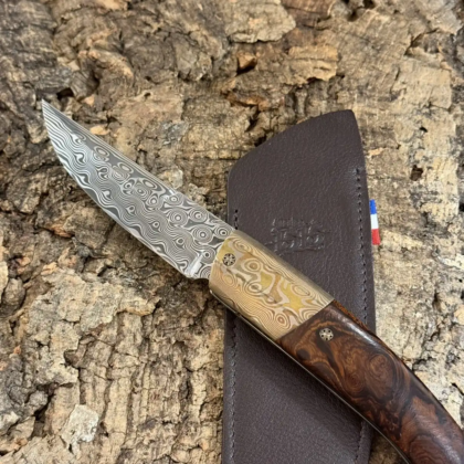 1515 Bois de fer d’Arizona