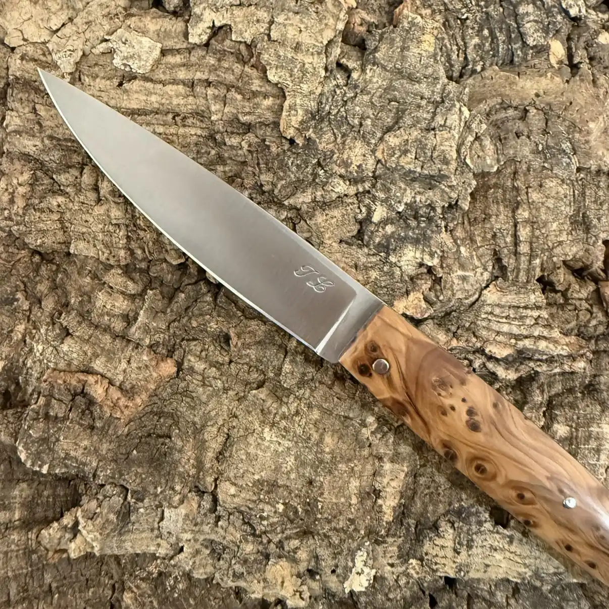 Couteau pliant – Loupe de Thuya