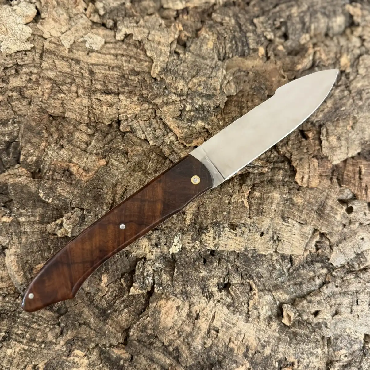 Le Gueuleton – Loupe de Bois de fer
