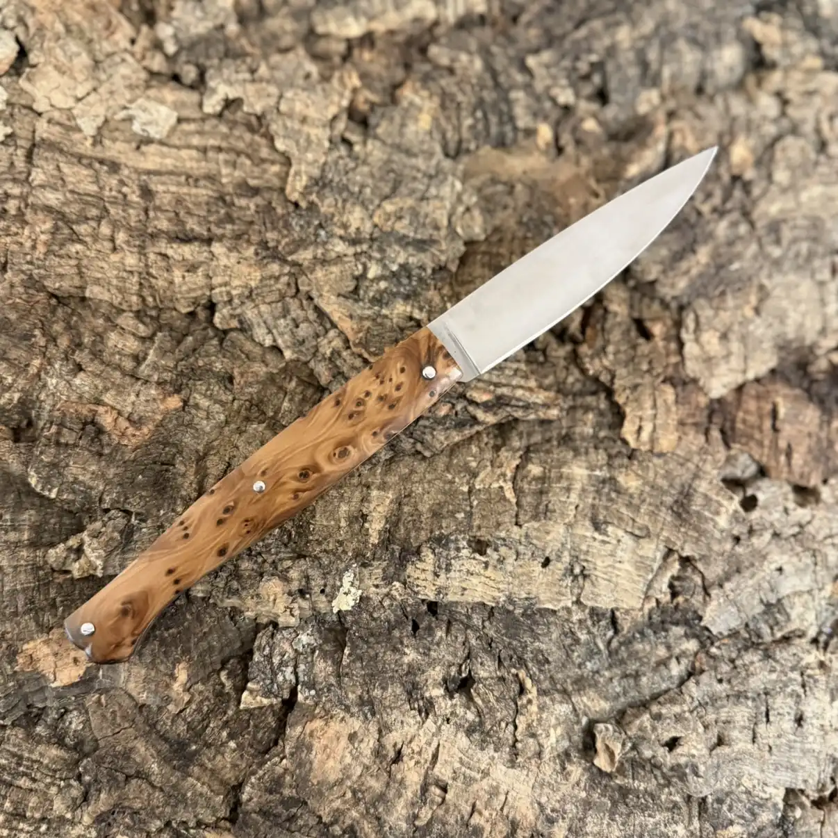 Couteau pliant – Loupe de Thuya