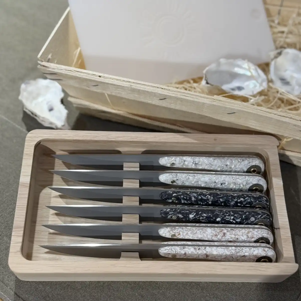 Set de 6 couteaux de table en Coquilles mixtes