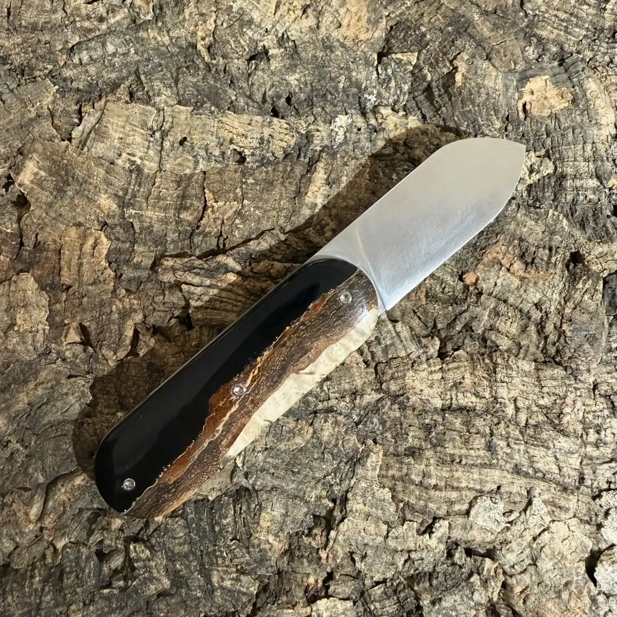 Le Cerbère en Loupe d&rsquo;Amboine et résine