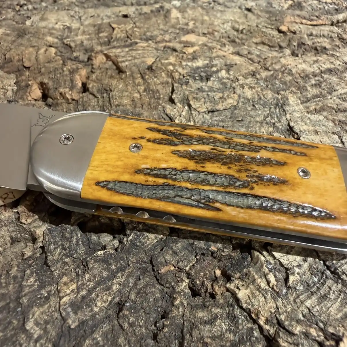 Le Cerbère Bois de Cerf