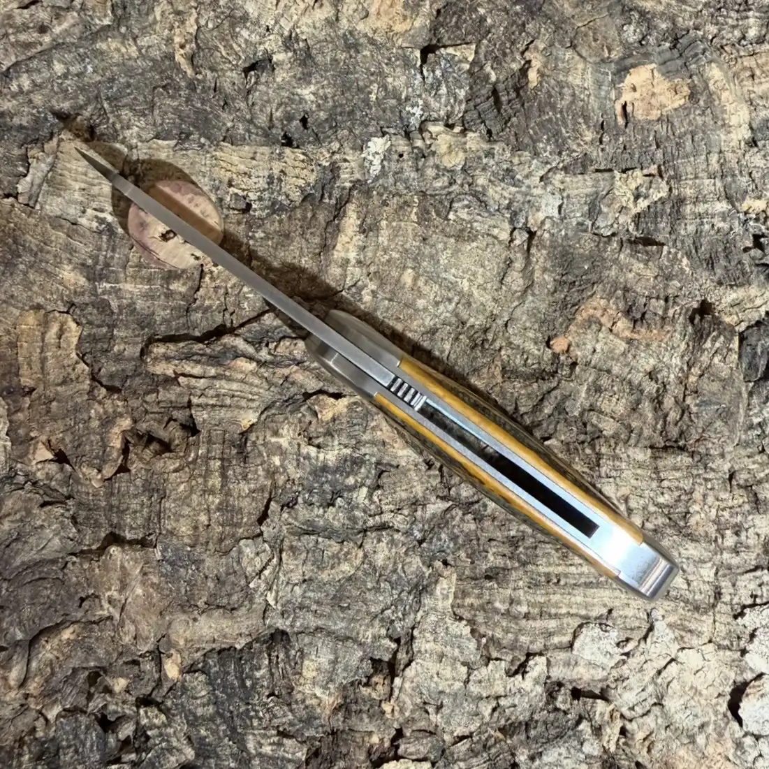 Le Cerbère Bois de Cerf