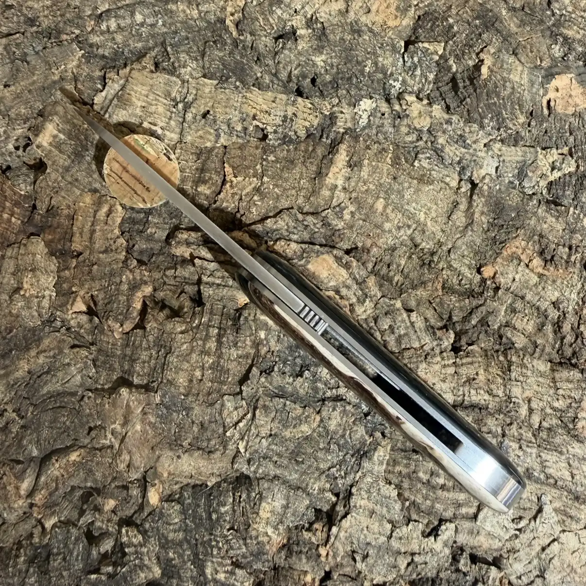 Le Cerbère en Loupe d&rsquo;Amboine et résine