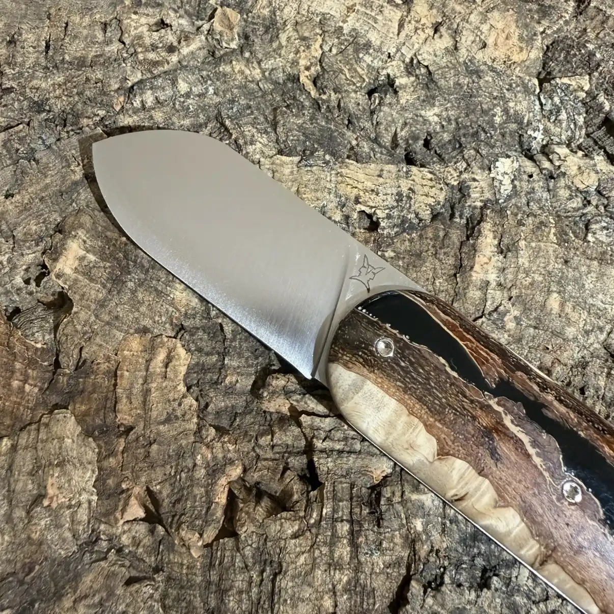 Le Cerbère en Loupe d&rsquo;Amboine et résine