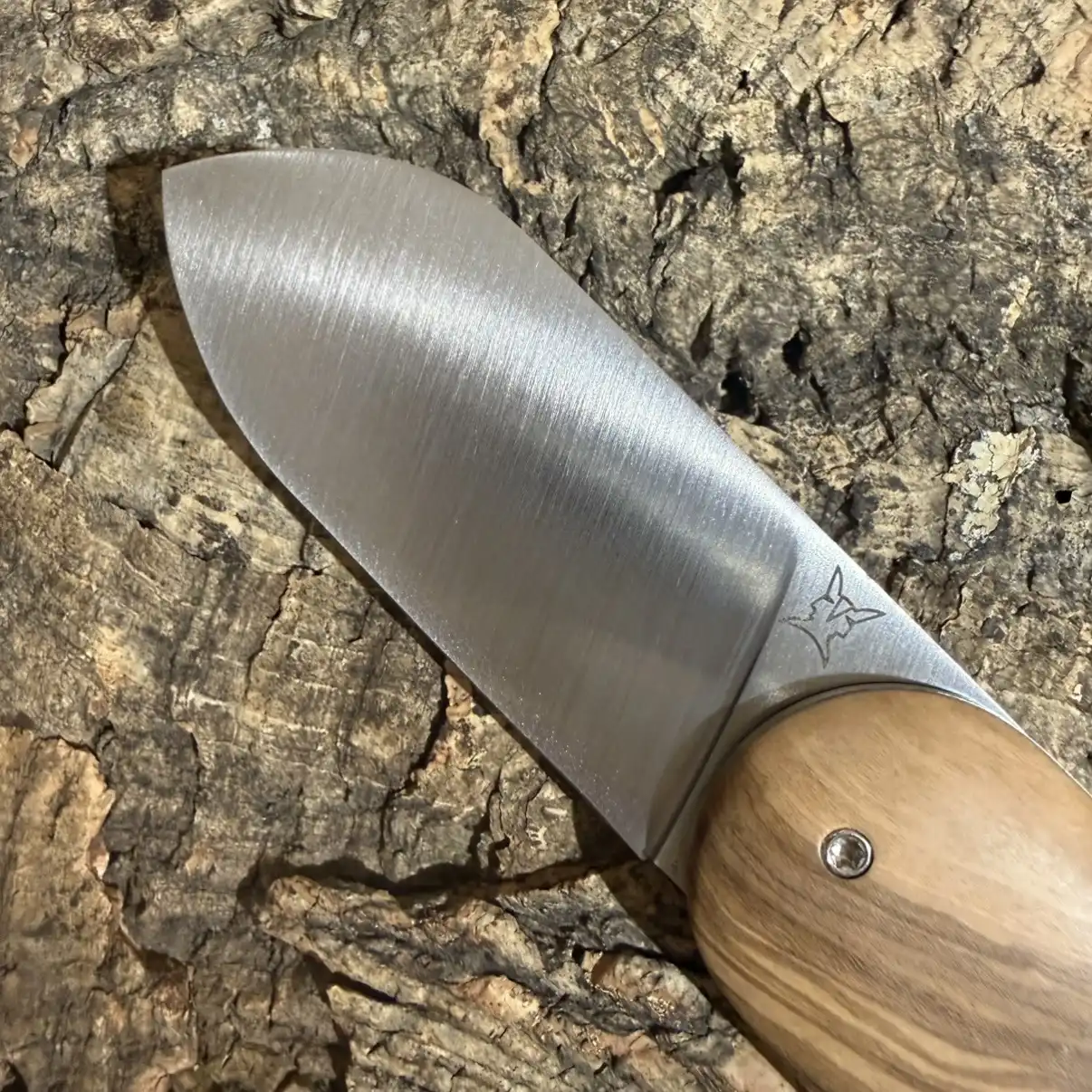 Le Cerbère coupe-cigare en Olivier