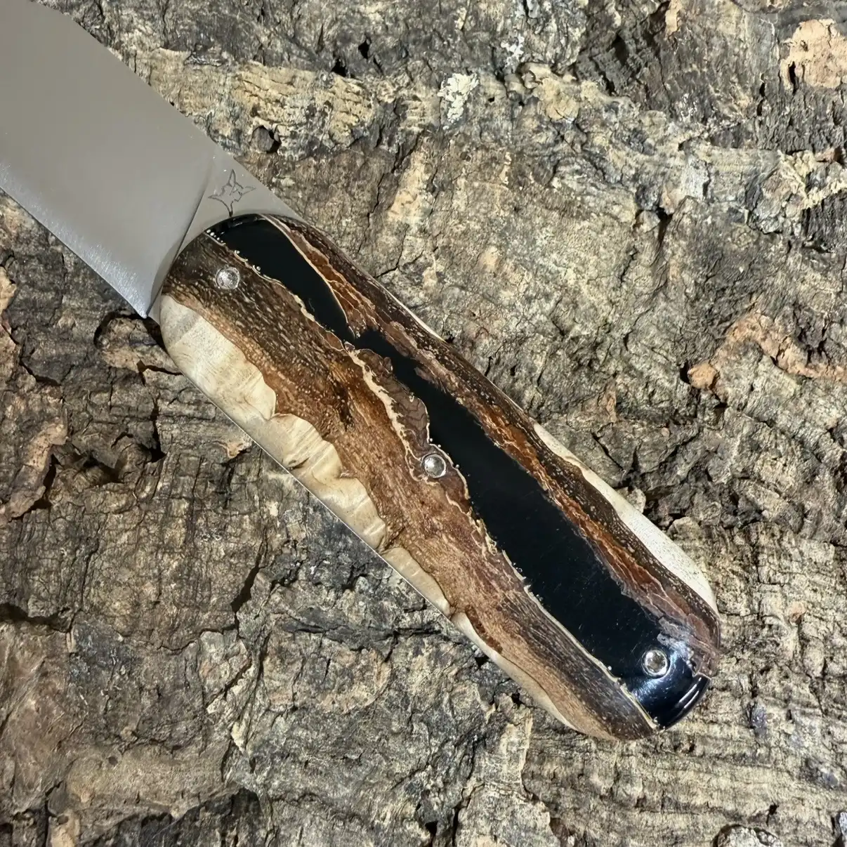 Le Cerbère en Loupe d&rsquo;Amboine et résine