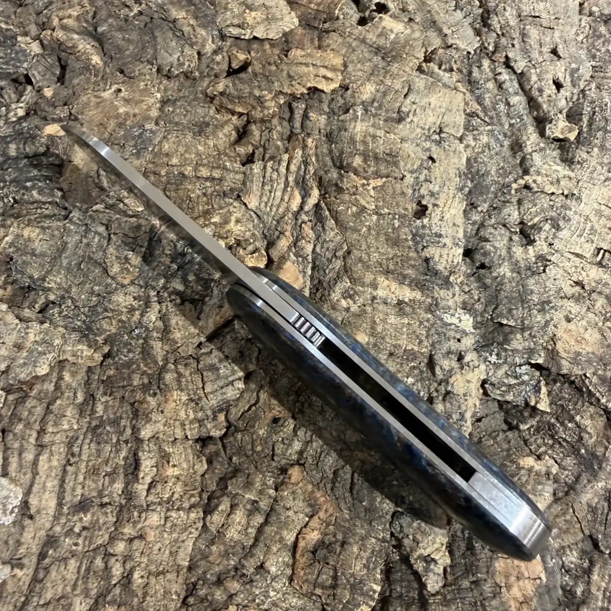 Le Cerbère en Loupe d&rsquo;Amboine teintée